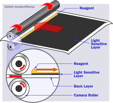 Polaroid Film Roller Processing