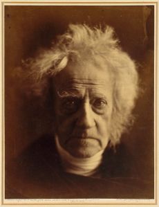 Figure 11:  Sir John Herschel, 1867, Julia Margaret Cameron, Metropolitan Museum of Art, NY