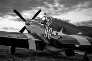 Mustang Oshkosh 2014