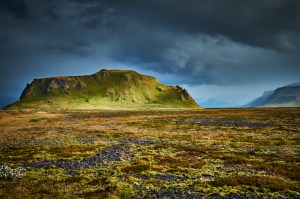 Image processed in Capture One Pro